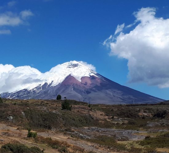 Cotopaxi