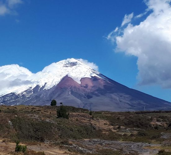 Transfer en Ecuador a Cotopaxi