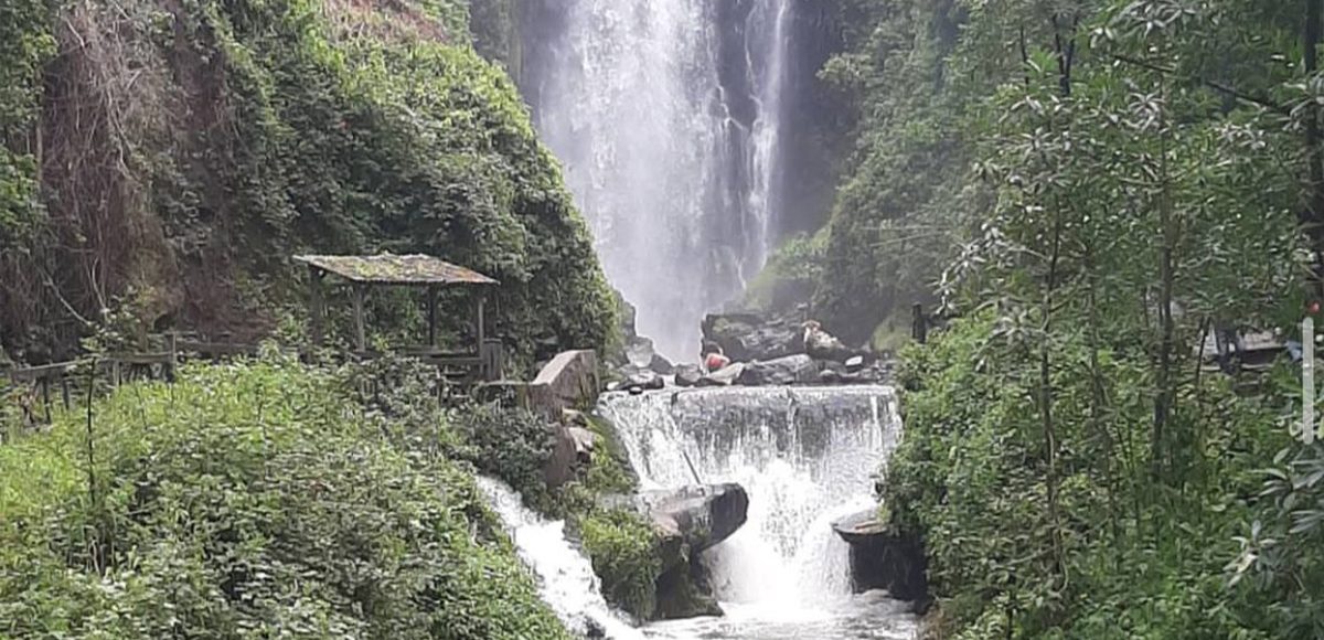 Transfer en Ecuador a Mindo