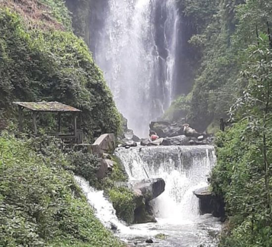 Transfer en Ecuador a Mindo