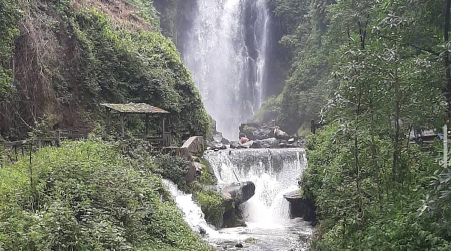 Transfer en Ecuador a Mindo