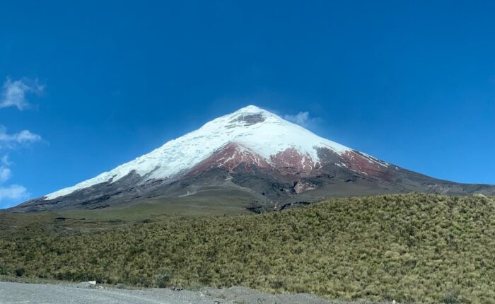Snow-covered mountain under a clear blue sky, with a scrubby plain and a gravel road in the foreground.